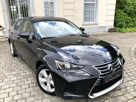 Used LEXUS IS Hybrid 2019 Ad 