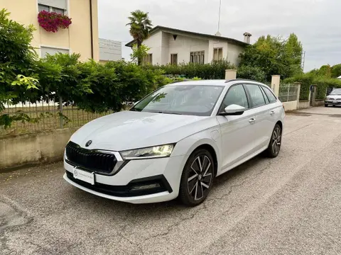 Used SKODA OCTAVIA Hybrid 2021 Ad 