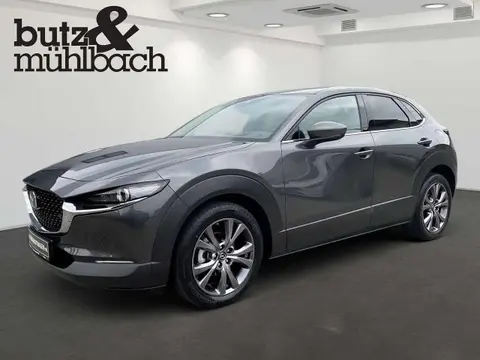 Annonce MAZDA CX-30 Essence 2020 d'occasion 