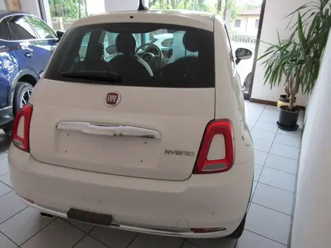 Used FIAT 500 Hybrid 2024 Ad 