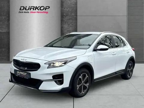 Annonce KIA XCEED Hybride 2022 d'occasion 