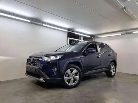 Used TOYOTA RAV4 Hybrid 2019 Ad 