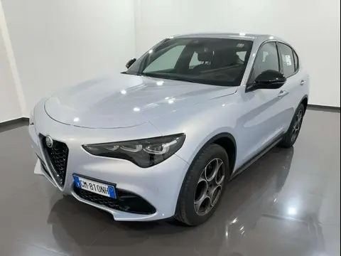 Used ALFA ROMEO STELVIO Diesel 2023 Ad 