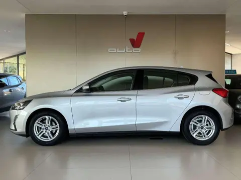 Used FORD FOCUS Hybrid 2021 Ad 