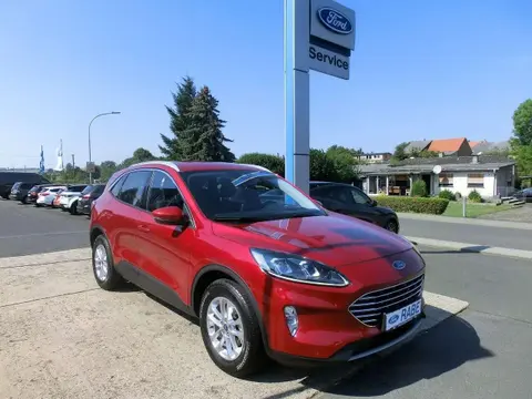 Annonce FORD KUGA Hybride 2022 d'occasion 