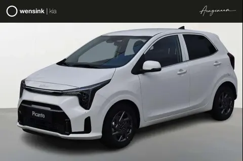 Used KIA PICANTO Petrol 2024 Ad 