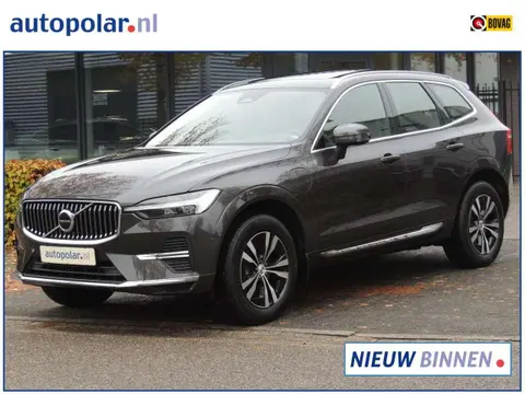 Annonce VOLVO XC60 Hybride 2023 d'occasion 