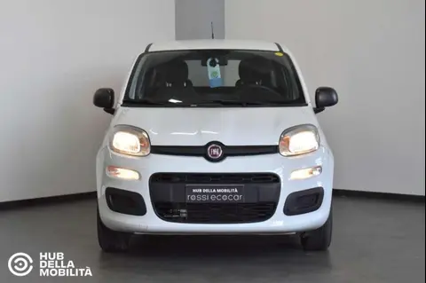 Used FIAT PANDA Petrol 2019 Ad 