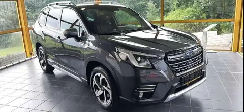 Annonce SUBARU FORESTER Essence 2024 d'occasion 