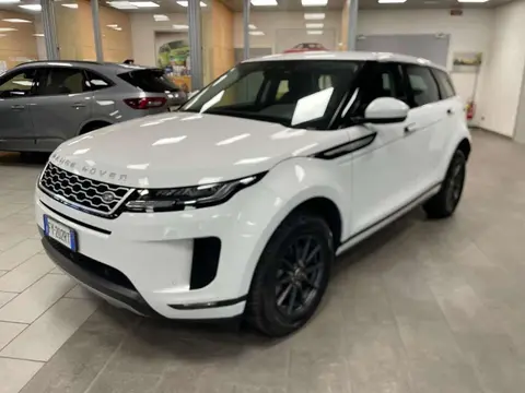 Used LAND ROVER RANGE ROVER EVOQUE Hybrid 2020 Ad 