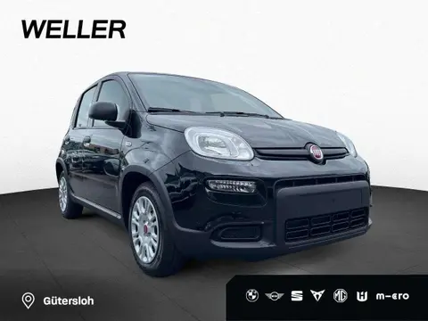 Annonce FIAT PANDA Essence 2024 d'occasion 