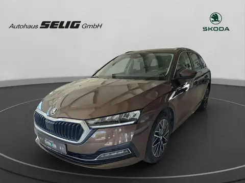 Annonce SKODA OCTAVIA Diesel 2020 d'occasion 