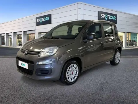 Used FIAT PANDA Petrol 2021 Ad 