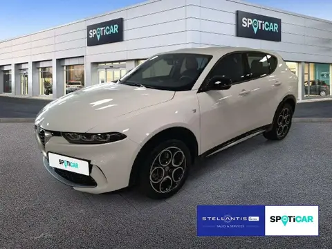 Used ALFA ROMEO TONALE Petrol 2023 Ad 