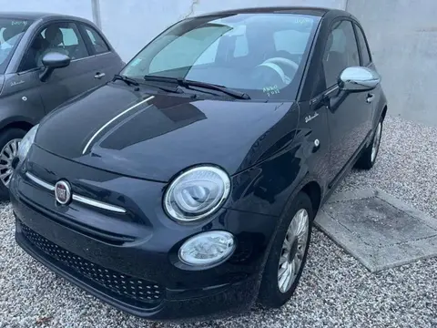 Annonce FIAT 500 Hybride 2022 d'occasion 