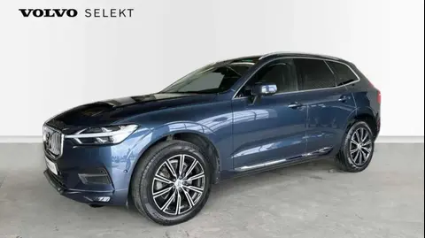 Used VOLVO XC60 Diesel 2019 Ad 