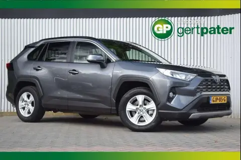 Used TOYOTA RAV4 Hybrid 2021 Ad 