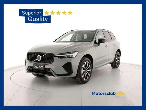 Annonce VOLVO XC60 Hybride 2024 d'occasion 