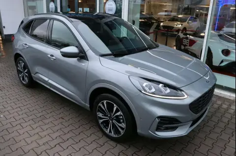 Annonce FORD KUGA Hybride 2024 d'occasion 