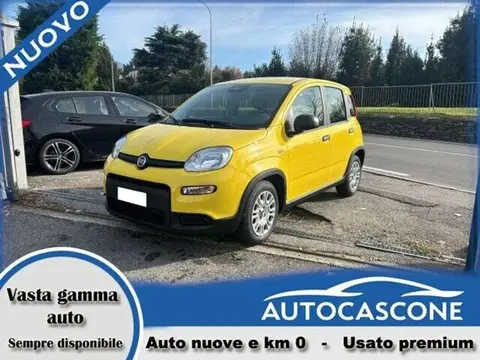 Used FIAT PANDA Hybrid 2024 Ad Italy