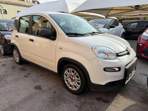 Annonce FIAT PANDA Essence 2022 d'occasion 