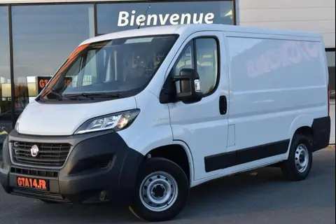 Used FIAT DUCATO Diesel 2021 Ad 