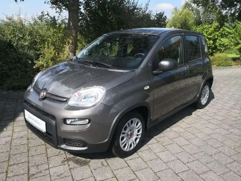 Annonce FIAT PANDA Essence 2024 d'occasion 