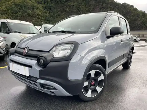 Used FIAT PANDA Hybrid 2021 Ad Italy