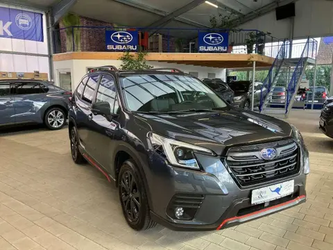 Used SUBARU FORESTER Petrol 2024 Ad 