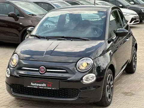 Used FIAT 500 Petrol 2023 Ad 