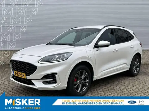 Used FORD KUGA Hybrid 2023 Ad 