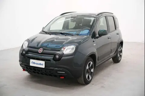 Annonce FIAT PANDA Hybride 2024 d'occasion 