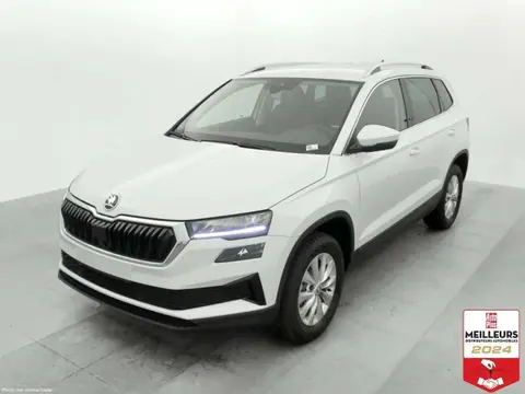 Annonce SKODA KAROQ Diesel 2024 d'occasion 