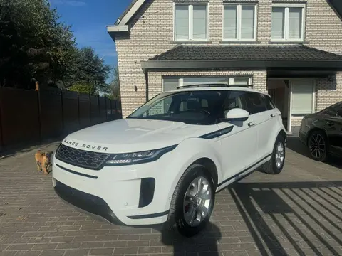 Annonce LAND ROVER RANGE ROVER EVOQUE Diesel 2022 d'occasion 