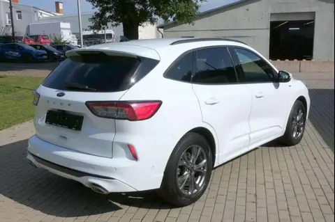 Annonce FORD KUGA Essence 2020 d'occasion 