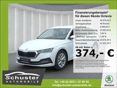 Used SKODA OCTAVIA Diesel 2023 Ad 