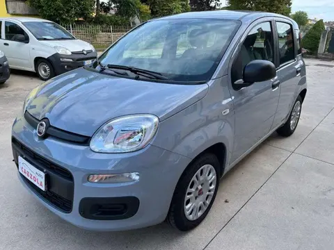 Used FIAT PANDA Hybrid 2022 Ad 