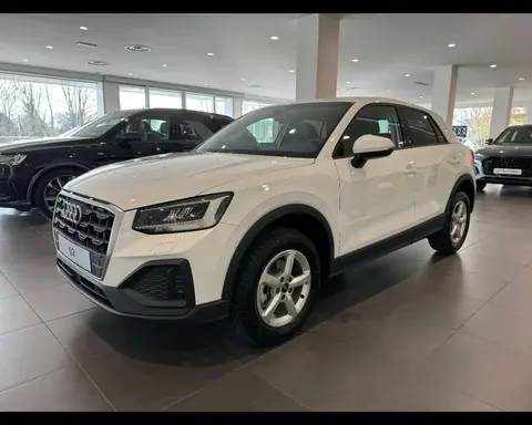 Annonce AUDI Q2 Essence 2024 d'occasion 