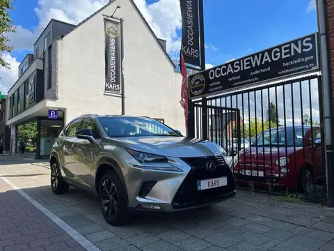 Used LEXUS NX Petrol 2019 Ad 