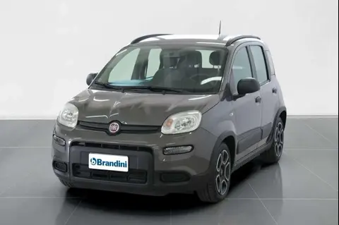 Annonce FIAT PANDA Hybride 2022 d'occasion 