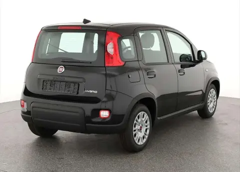 Used FIAT PANDA Petrol 2024 Ad 