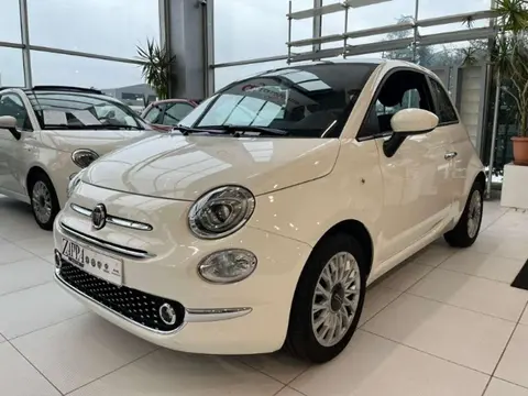 Annonce FIAT 500 Hybride 2024 d'occasion 