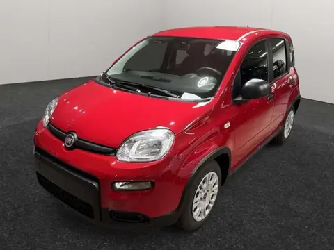 Used FIAT PANDA Hybrid 2024 Ad 