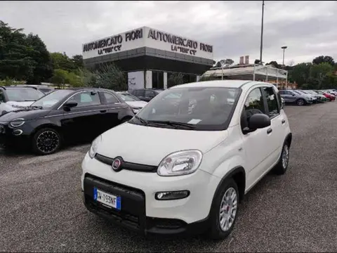 Used FIAT PANDA Hybrid 2024 Ad 