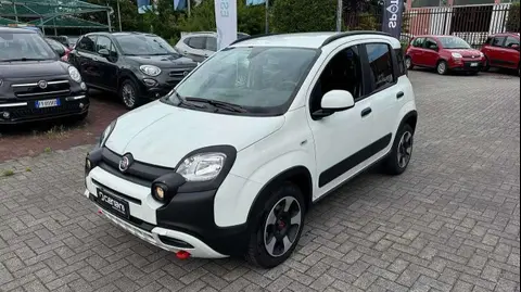 Annonce FIAT PANDA Hybride 2024 d'occasion 