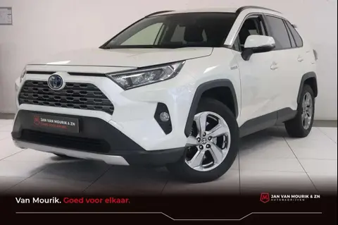 Annonce TOYOTA RAV4 Hybride 2020 d'occasion 