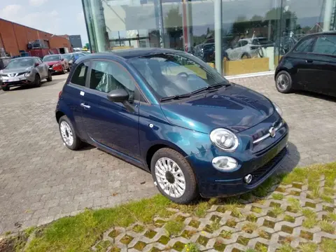 Used FIAT 500 Petrol 2023 Ad 