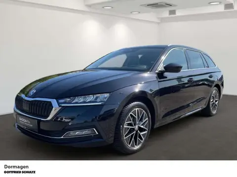 Annonce SKODA OCTAVIA Diesel 2024 d'occasion 