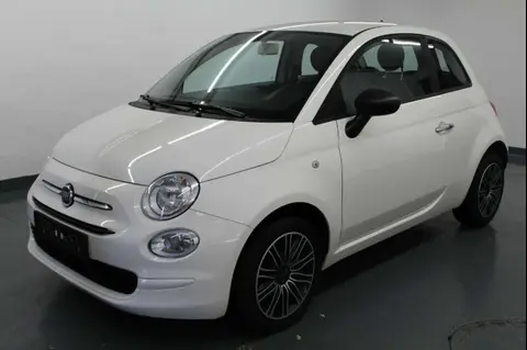 Used FIAT 500 Petrol 2019 Ad 