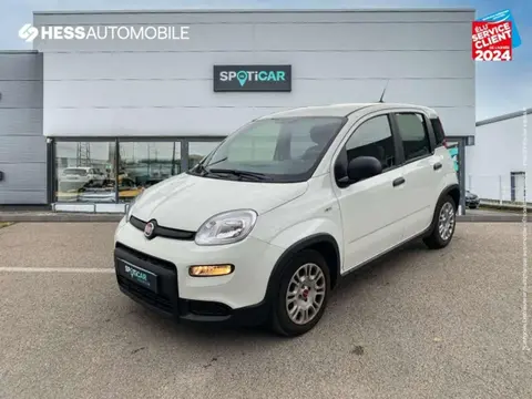 Annonce FIAT PANDA  2022 d'occasion 